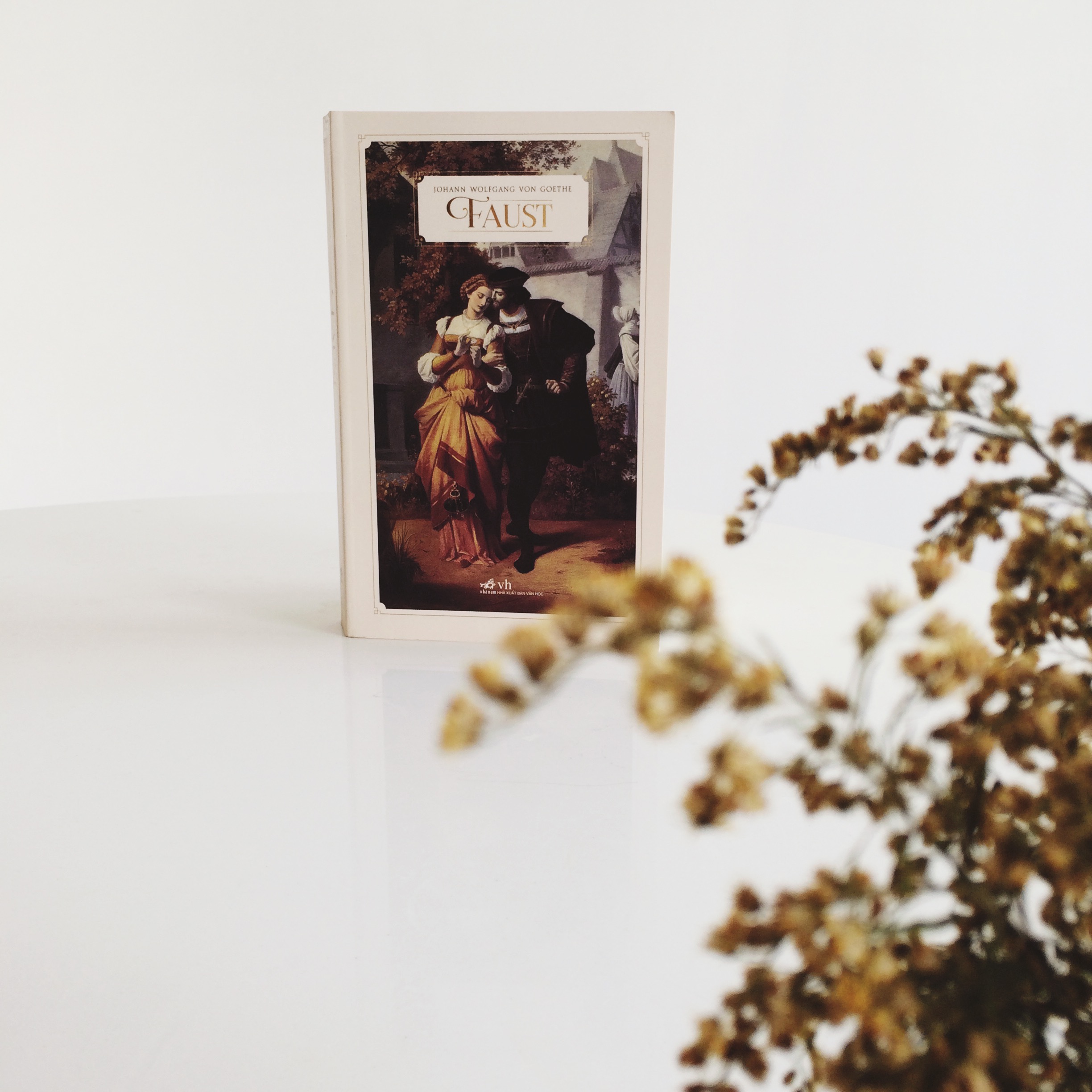 Processed with VSCO with 4 preset