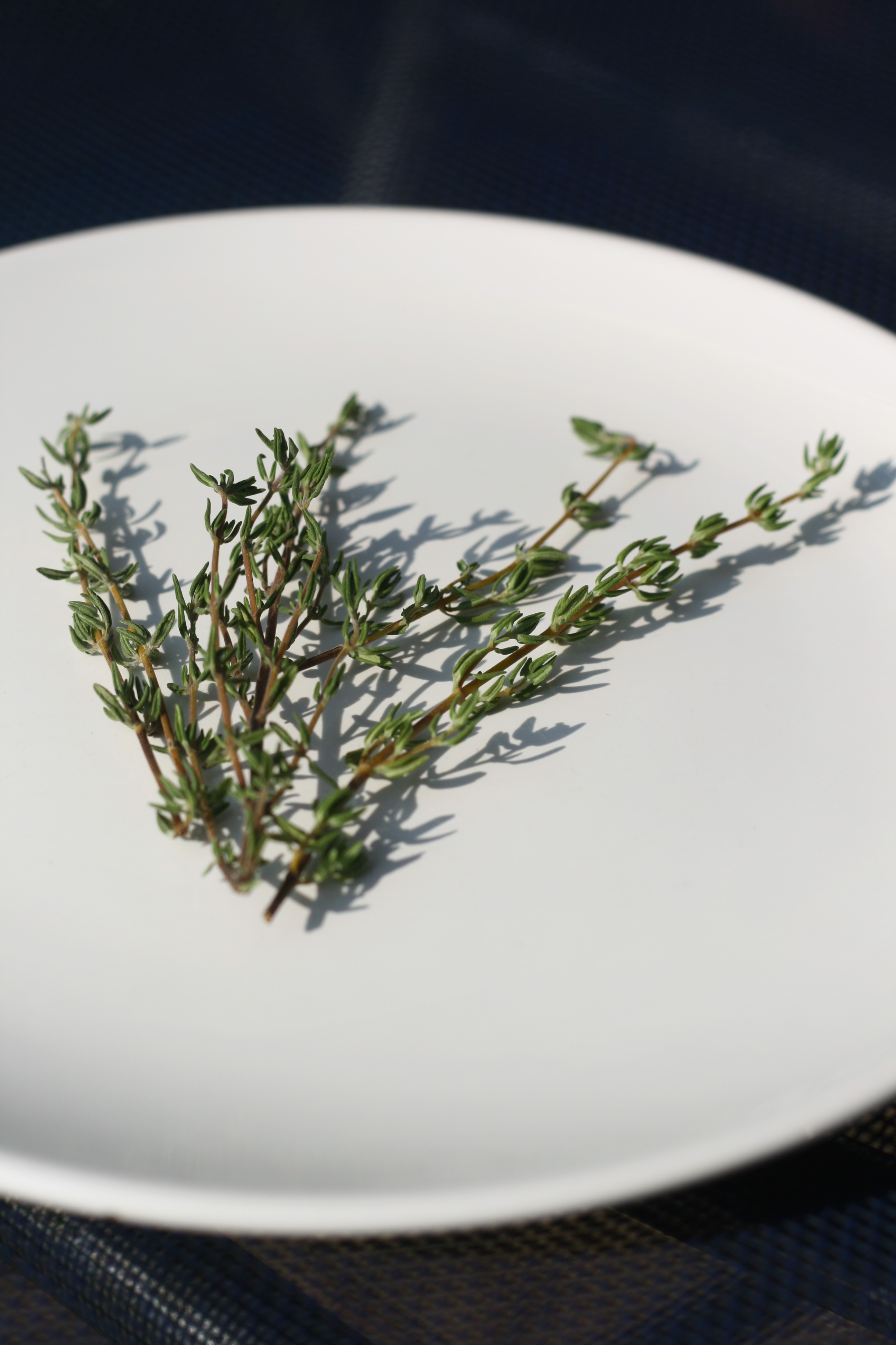 Rosemary