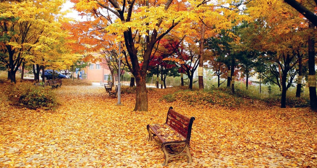 Bài thơ “Vì sao” Xuân Diệu