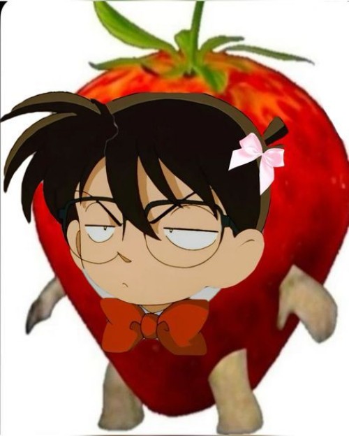 meme Conan