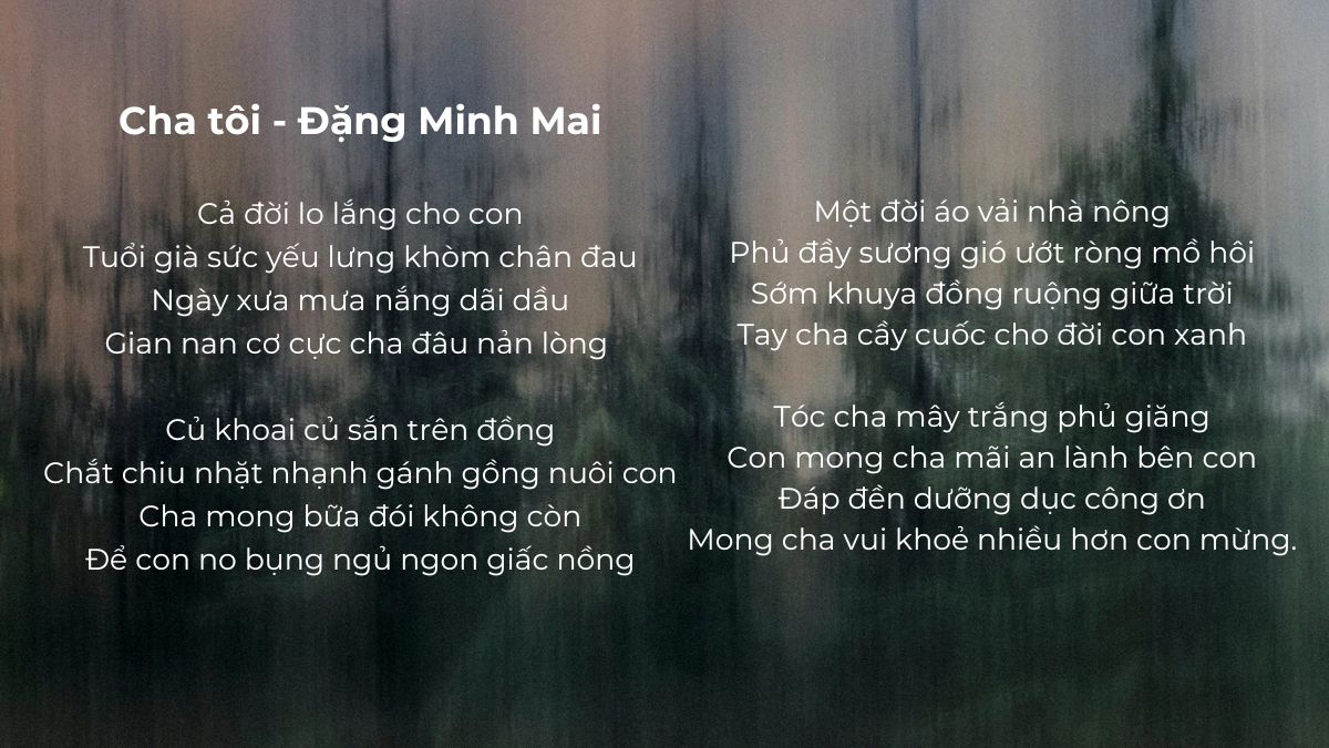 Thơ ngày của cha ý nghĩa