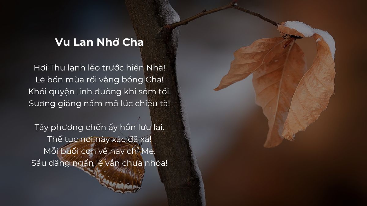 Bài thơ ngày của cha trong đạo Phật sâu sắc