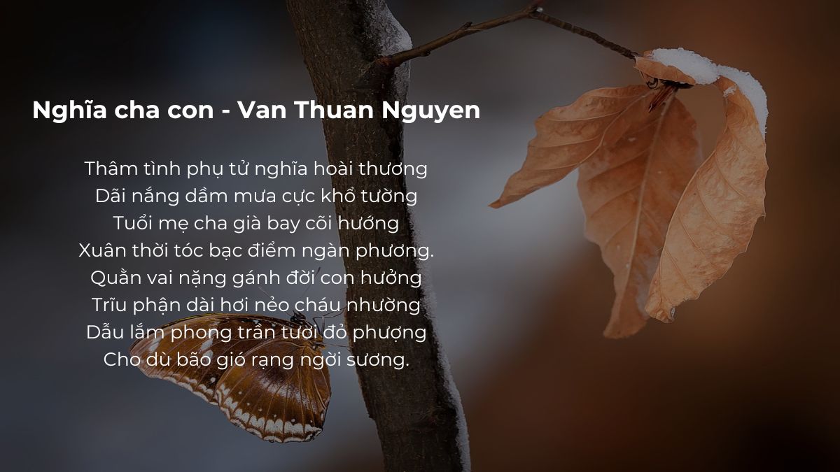 Bài thơ về cha đong đầy nhớ thương