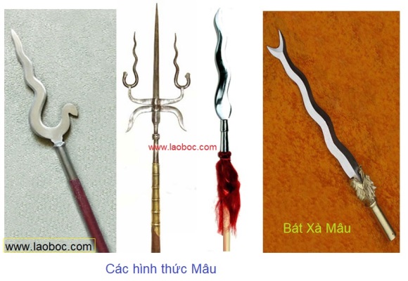 Phân biệt Xà Mâu và Bát Xà Mâu