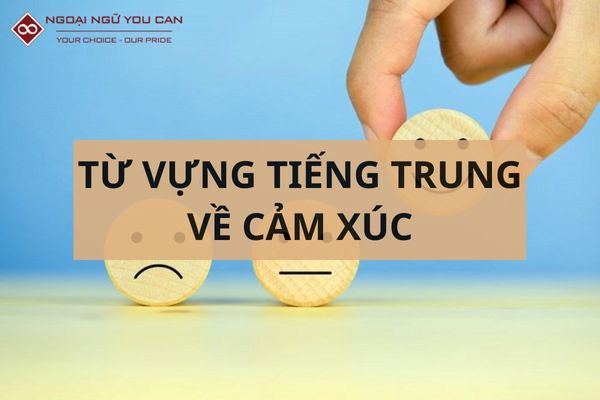 Từ Vựng Tiếng Trung Về Cảm Xúc Và Tâm Trạng Con Người