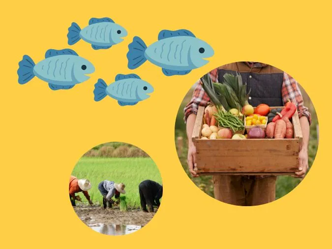 Giải thích ý nghĩa câu tục ngữ “Nhất canh trì nhị canh viên tam canh điền” nói đến điều gì?