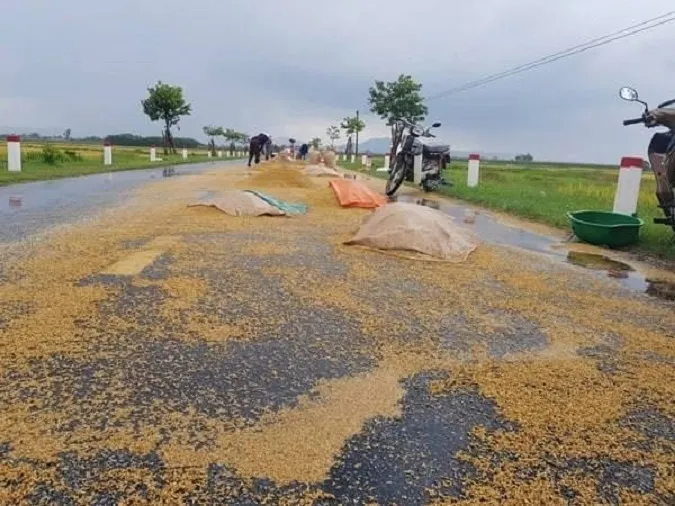 Giải nghĩa câu “chớp đông nhay nháy gà gáy thì mưa” 2