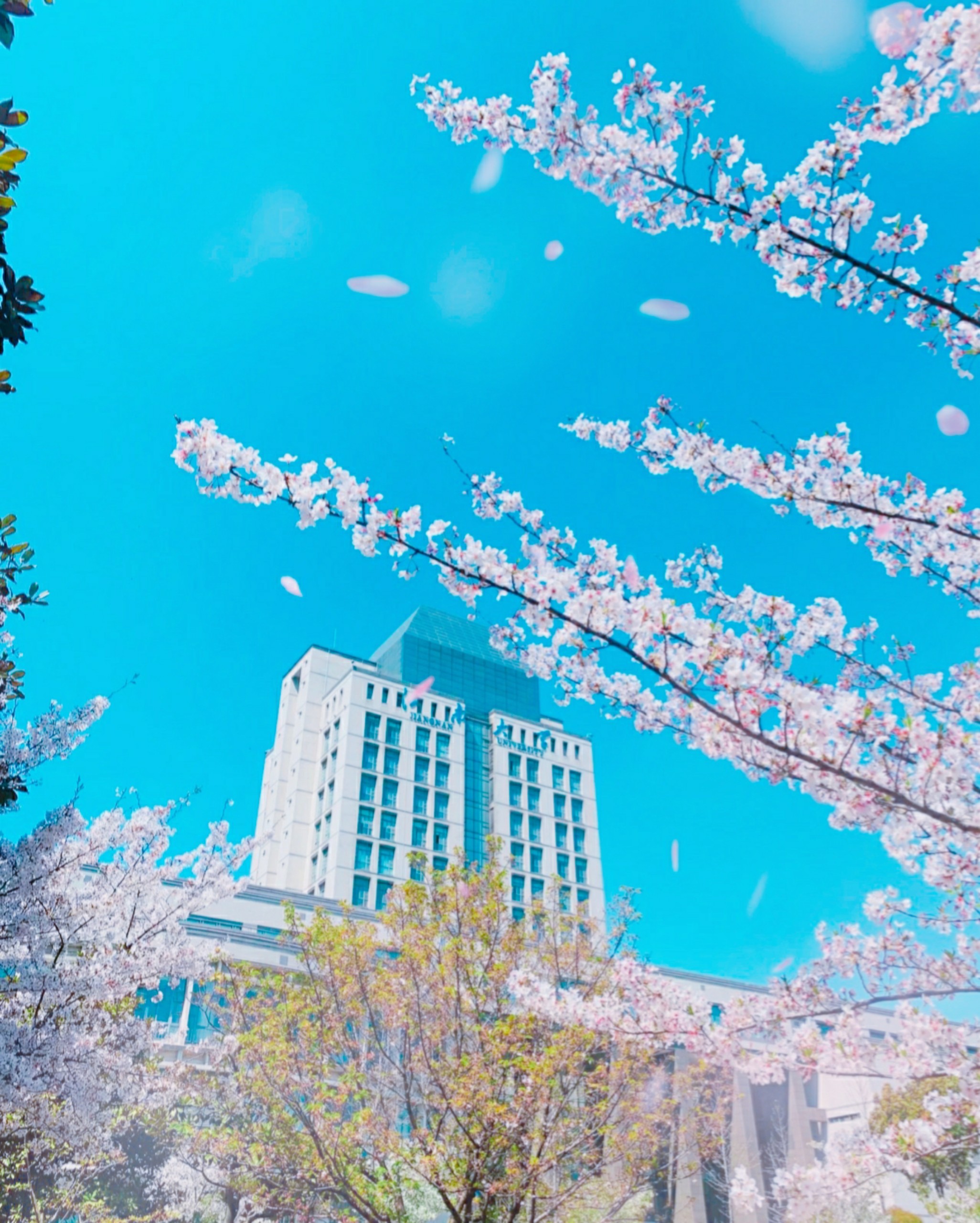 ĐẠI HỌC GIANG NAM - TRUNG QUỐC (江南大学)