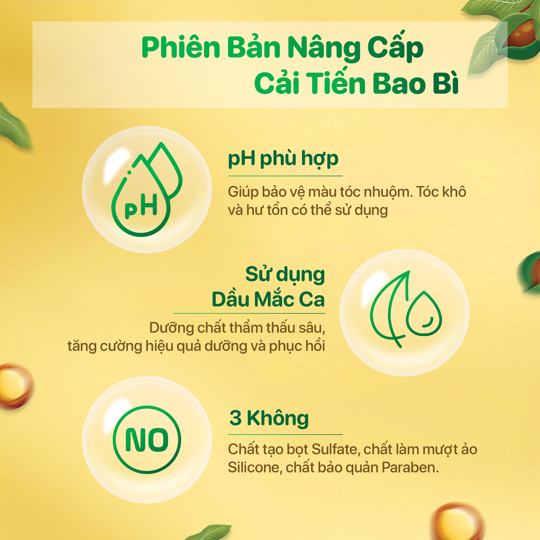 phiên-bản-cải-tiến-dầu-gội-dưỡng-tóc-mắc-ca