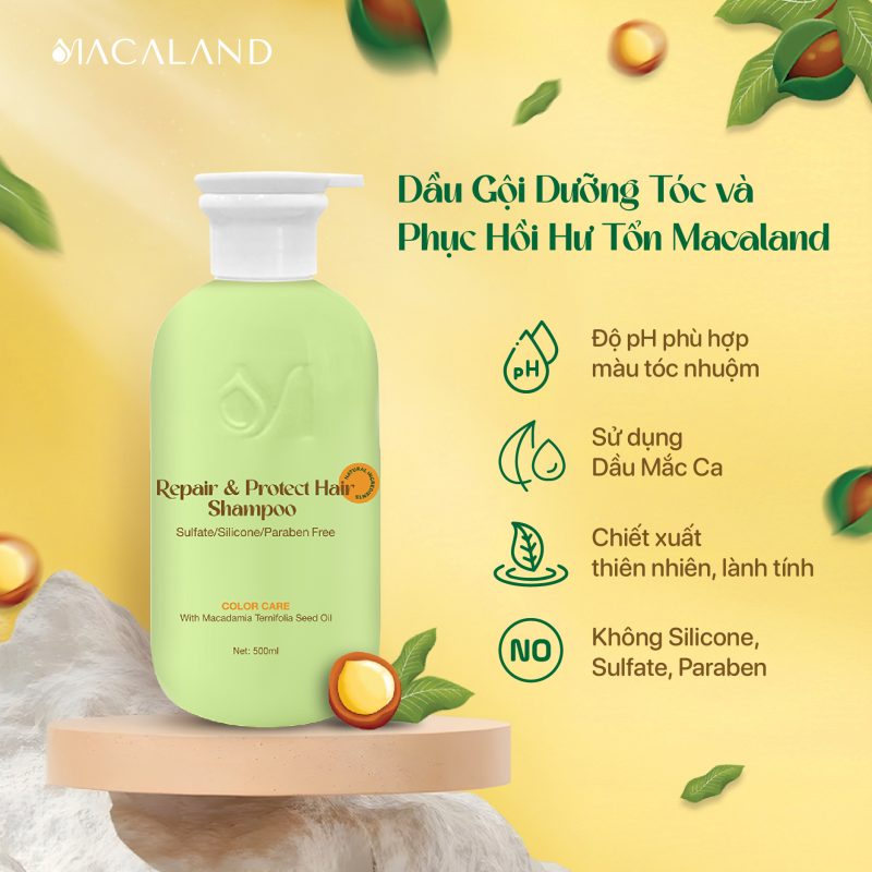 Dầu gội Dưỡng Tóc Mắc Ca MACALAND 500ml dưỡng tóc chắc khỏe, phục hồi hư tổn