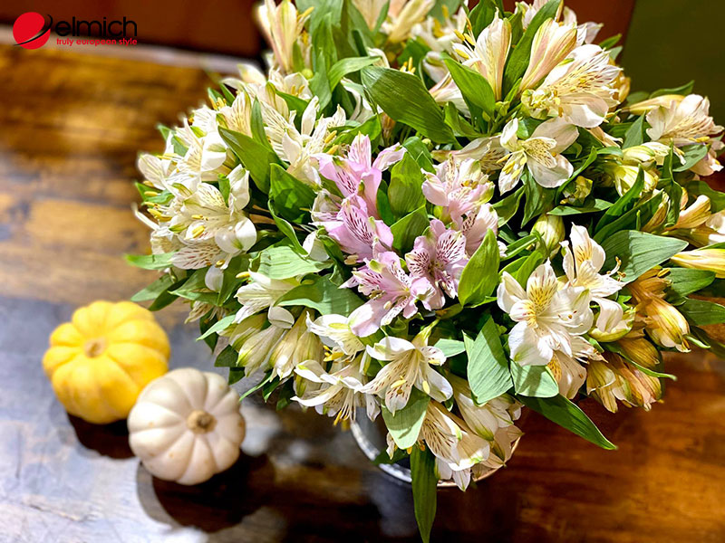 Hình 2: Cánh hoa thuỷ tiên mỏng manh, nhẹ nhàng