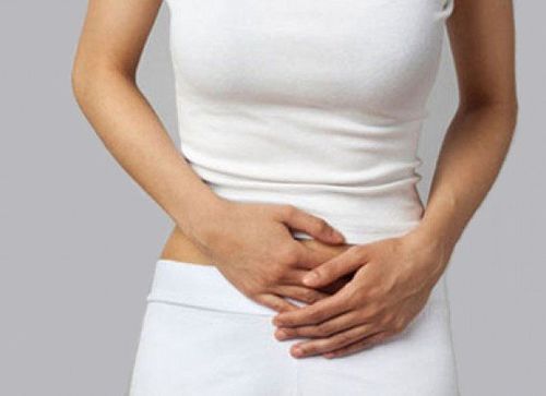 Một số bài thuốc có chứa hoàng cầm có tác dụng chữa đau bụng, kiết lỵ hiệu quả