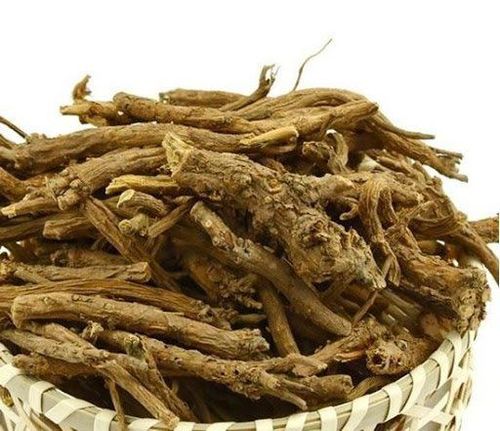 Hoàng cầm có tác dụng gì trong chữa bệnh