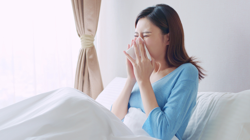 Dịch cúm hoành hành khắp Đông Á