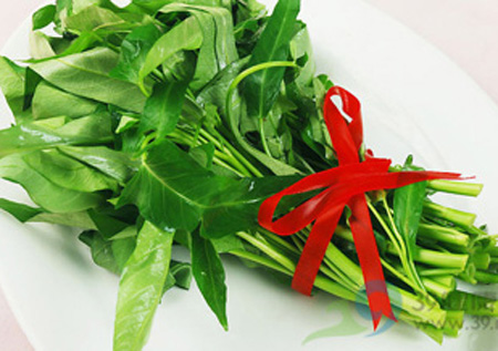 Mpflorist's Blog