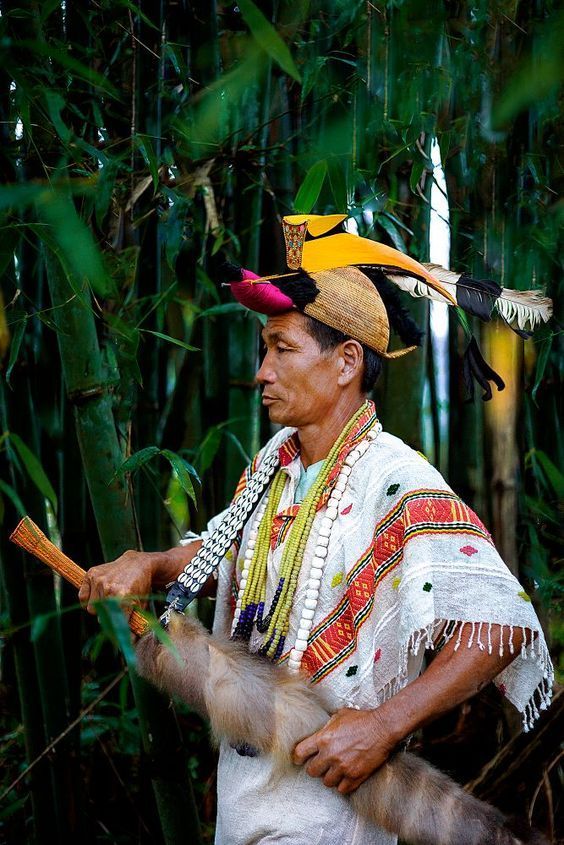 Hồng hoàng - loài chim mỏ sừng độc đáo