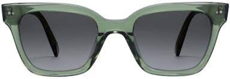tròng kính polaroid Warby Parker Beale