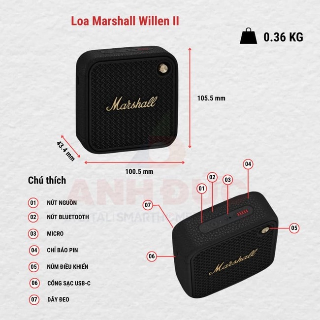 Đánh giá loa Marshall Willen II từ trải nghiệm thực tế