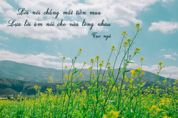Lời nói chẳng mất tiền mua lựa lời mà nói cho vừa lòng nhau (9 mẫu)