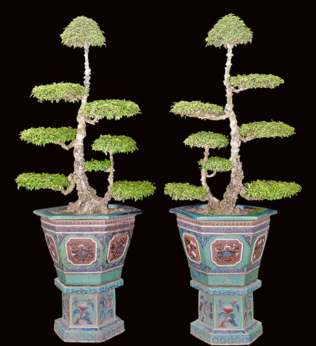 Kiểng cổ lưỡng diện mang đậm giá trị văn hóa dân gian vùng Gò Công