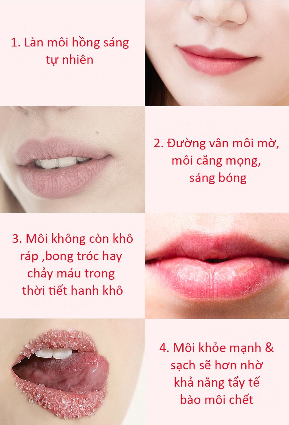 Mat Na Ngu Moi Luu Pomegranate Lip Night Mask (4)