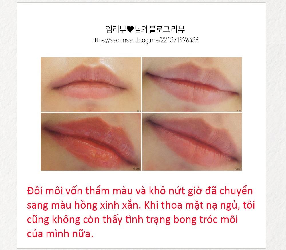 Mat Na Ngu Moi Luu Pomegranate Lip Night Mask (8)