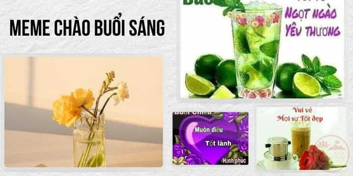 100+ Meme Chào Buổi Sáng - Good Morning Chúc Ngày Mới Tốt Lành