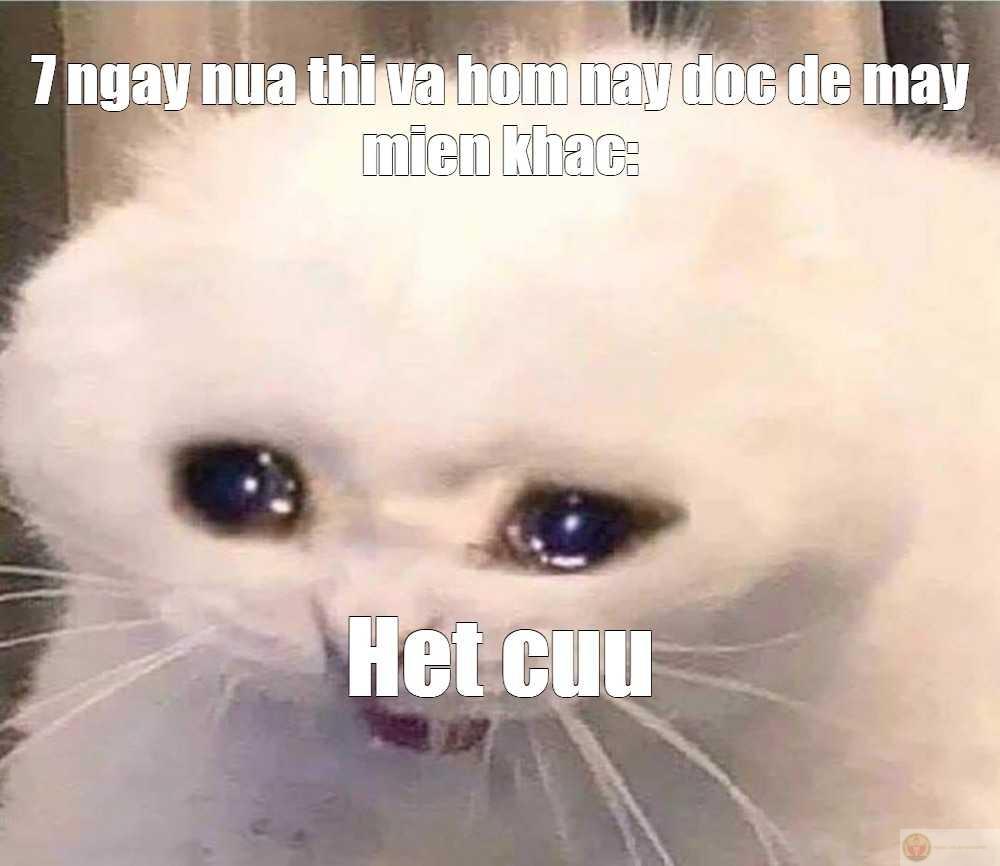 Mắt thì ướt nhưng miệng vẫn cố cười