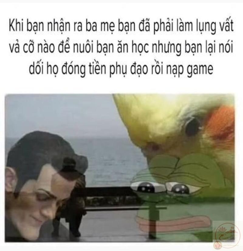 Meme nhân văn quá