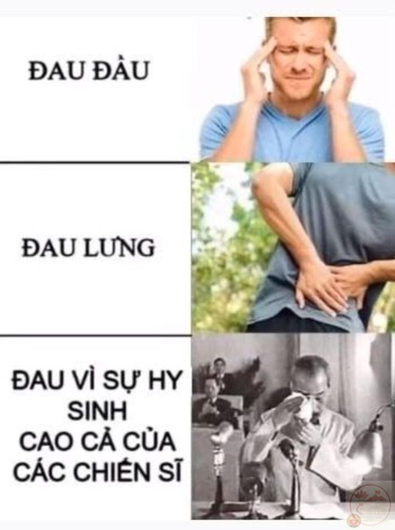 Sự hài hước nhẹ nhàng khiến người xem bật cười trong khoảnh khắc