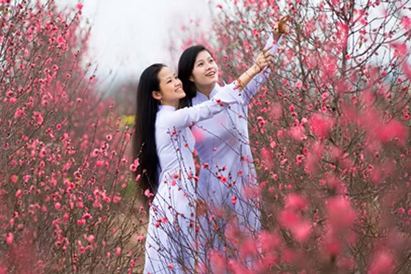 Những mùa gió xuân…