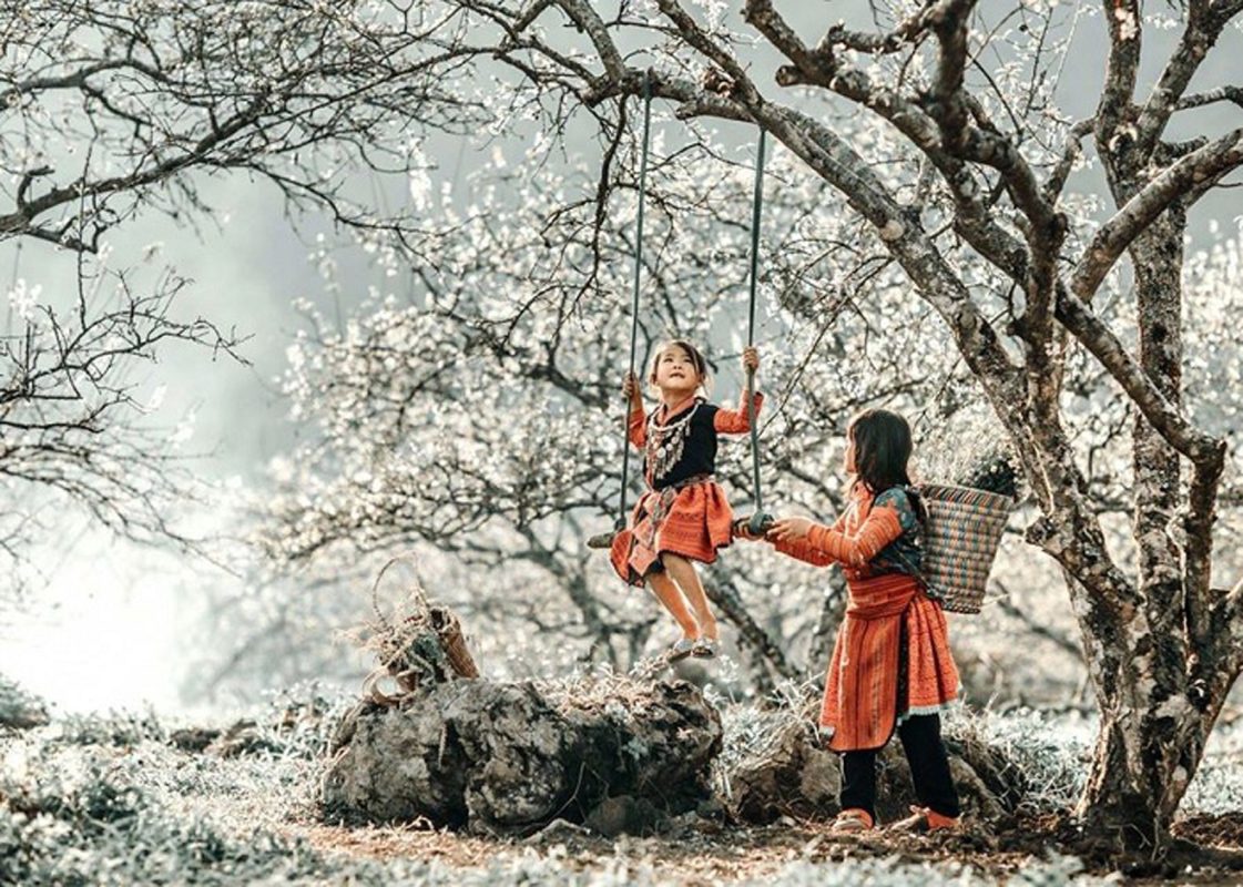Những mùa gió xuân…