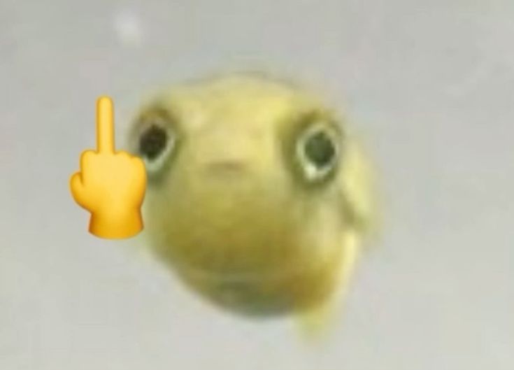 Phắc diu meme