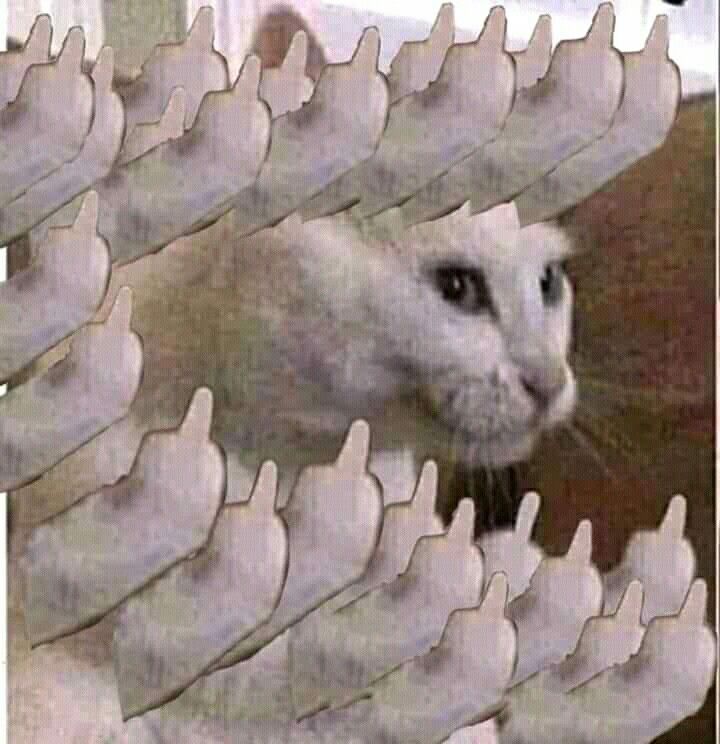 Ảnh ngón tay giữa meme