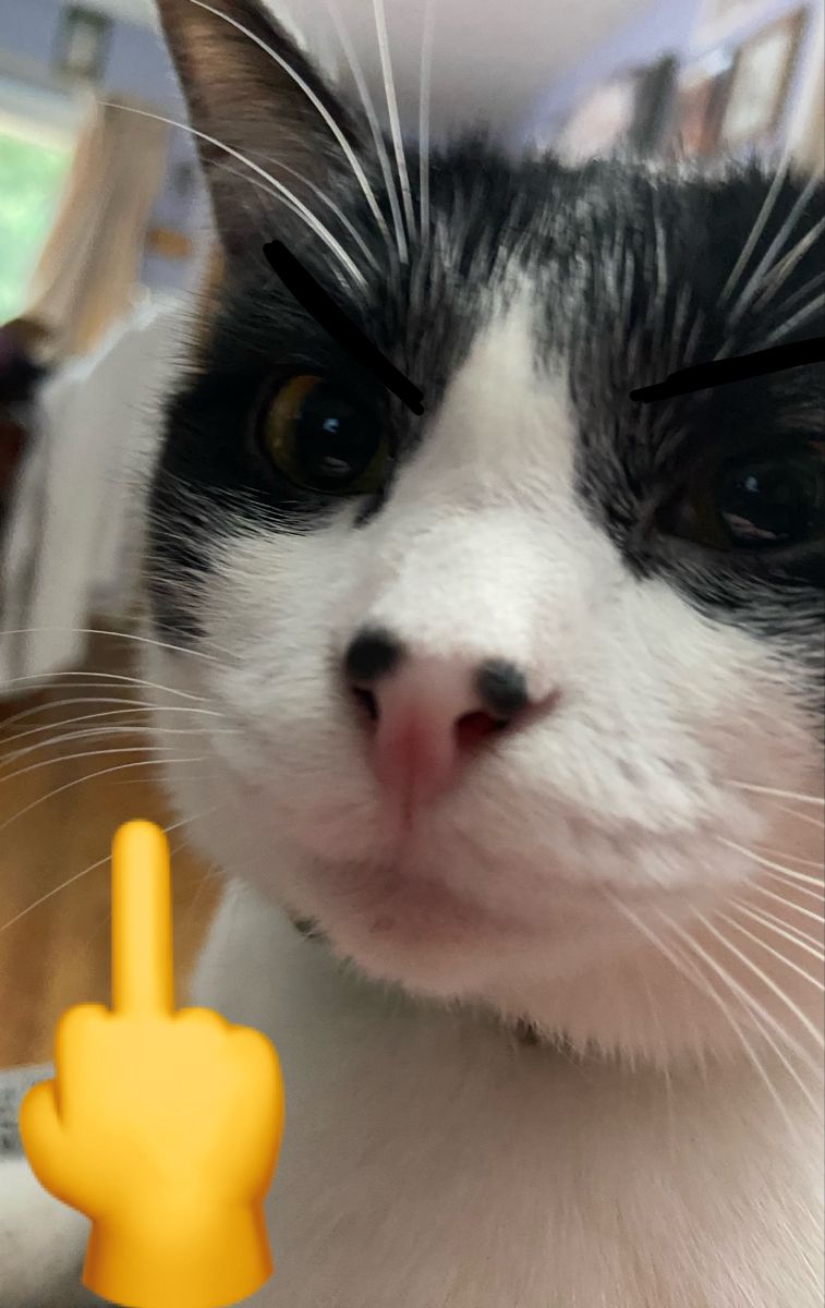 Meme 2 ngón tay chỉ vào nhau