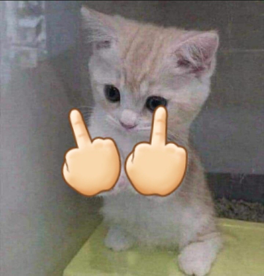 Meme ngón tay giữa