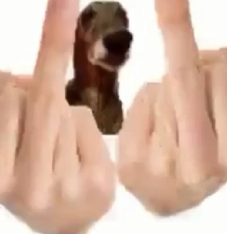 Meme fuck