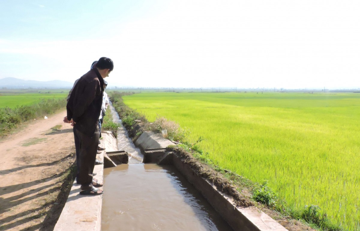 Hội nghị Hữu cơ Châu Á