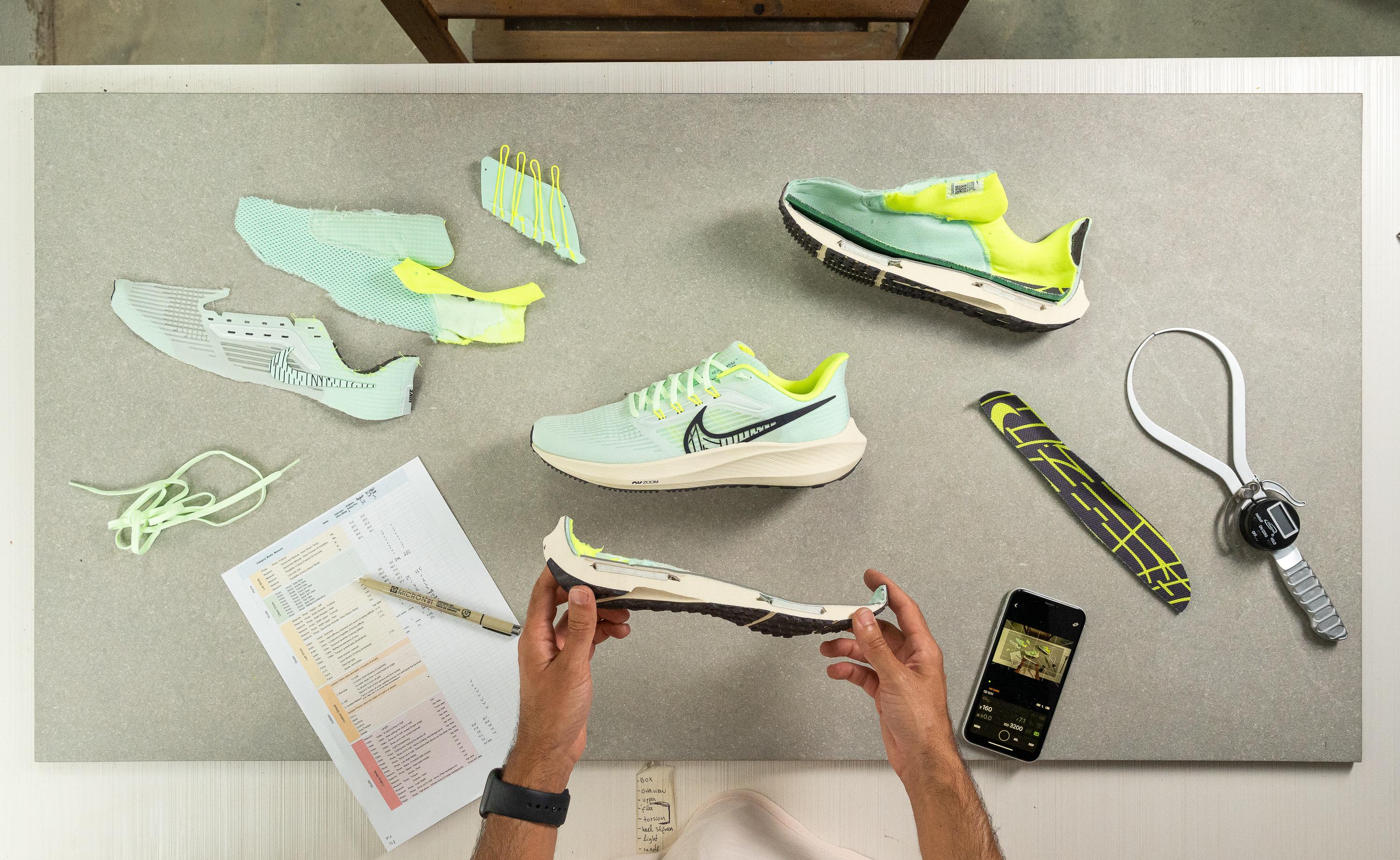 Nike Pegasus 39 pieces of a shoe
