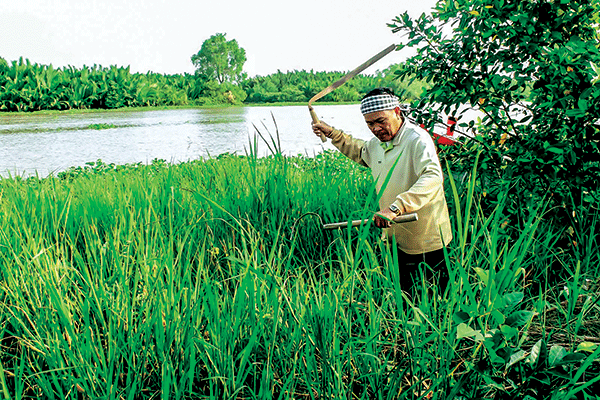 Văn hóa - Giải trí 				 > Sáng tác - Biên khảo