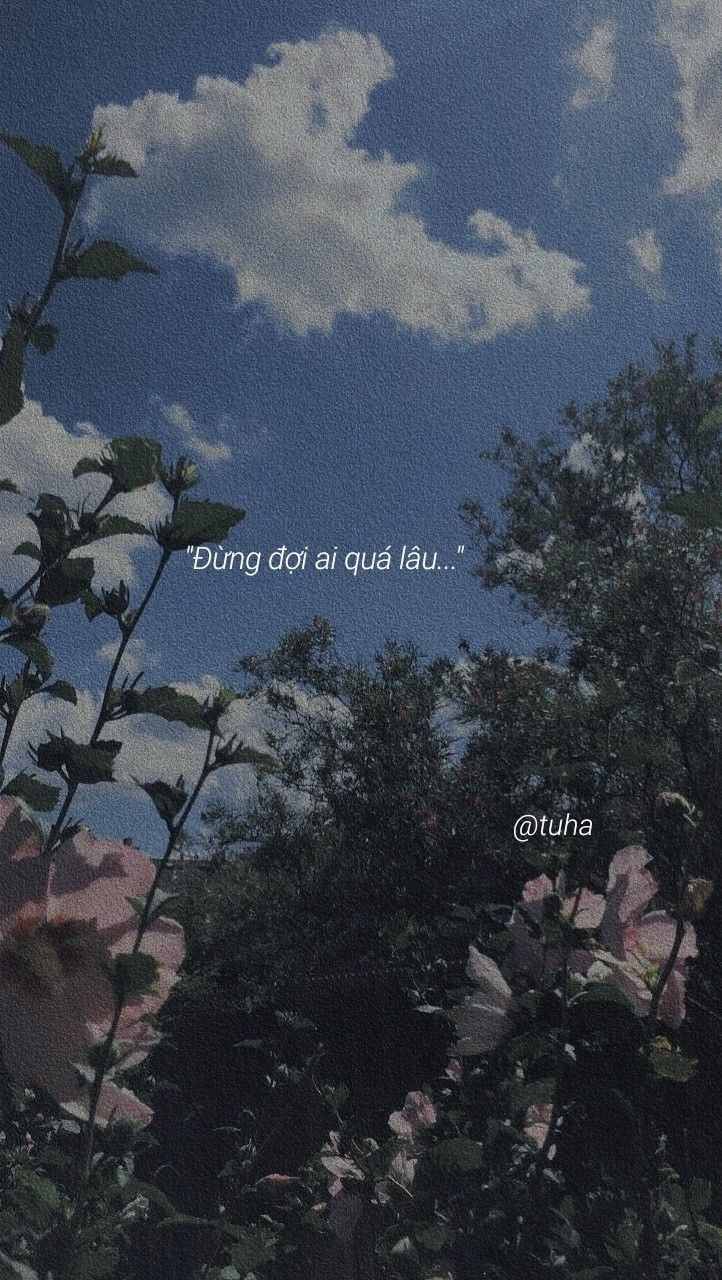 Ảnh chill buồn với câu