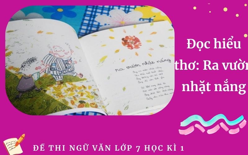 Đọc hiểu thơ: Ra vườn nhặt nắng | Đề thi học kì 1 lớp 7 trường THCS Nội Trú