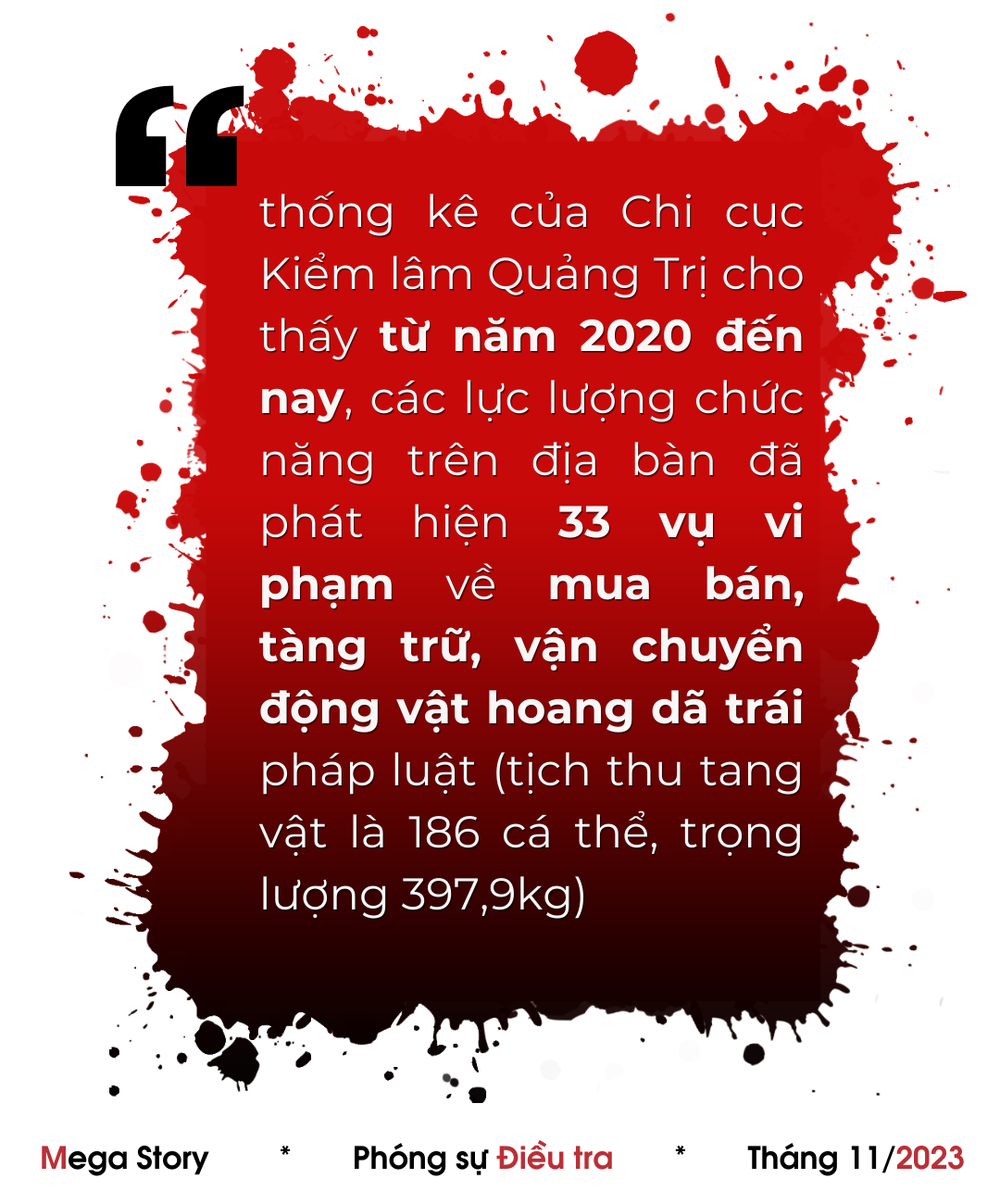 thitthurungbai5.jpg