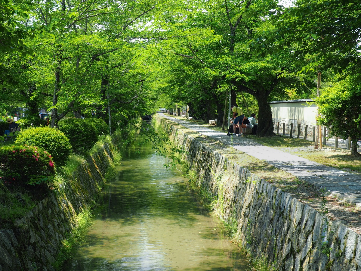 Đường Triết Học Kyoto: 2km Từ Ginkakuji Đến Nanzenji
