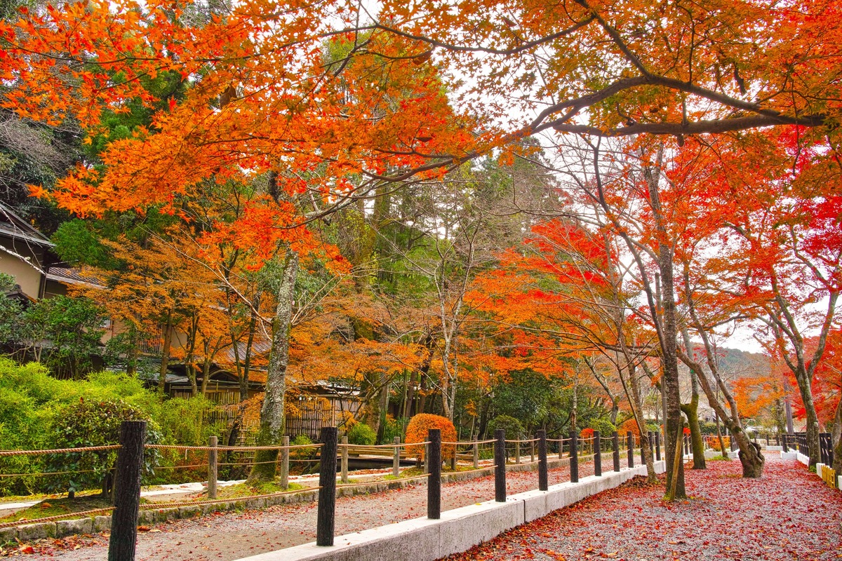 Đường Triết Học Kyoto: 2km Từ Ginkakuji Đến Nanzenji