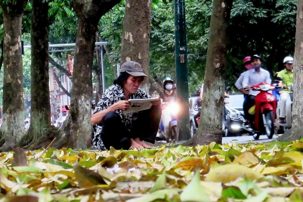 Khi chiếc lá biết mình sẽ rụng