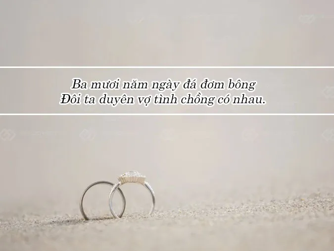 tho-ky-niem-ngay-cuoi-voh-1