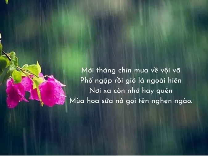 Thơ về mưa 11
