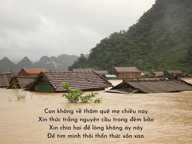 Thơ về mưa 8