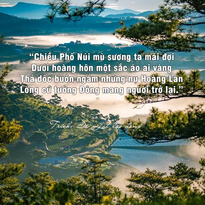 Thơ về núi rừng 8